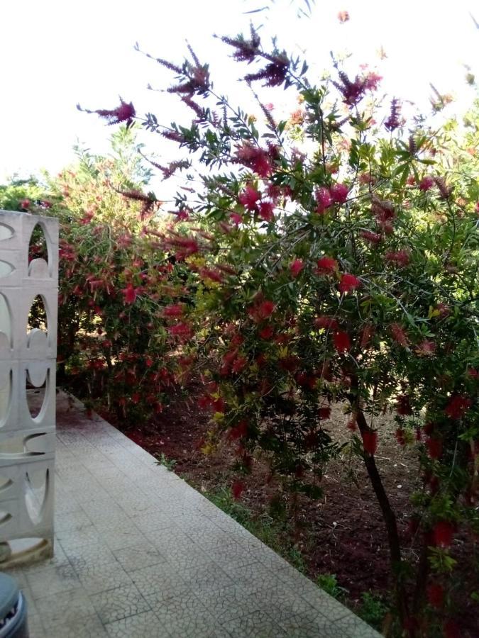 Villa Grazia Vieste Exteriér fotografie